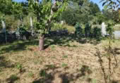 Land suitable for development for sale on Santián, Maside, ref: TR407749 photo