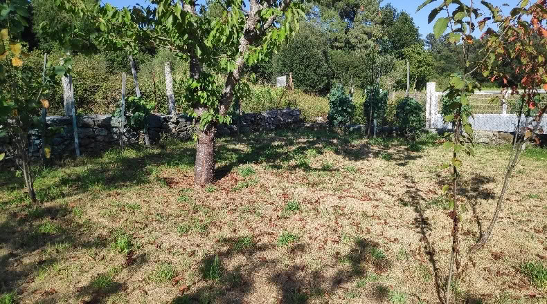 Orense - Maside - 1263m2