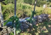 Land suitable for development for sale on Santián, Maside, ref: TR407749 photo
