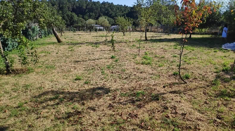 Orense - Maside - 1263m2