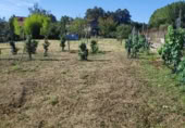 Land suitable for development for sale on Santián, Maside, ref: TR407749 photo