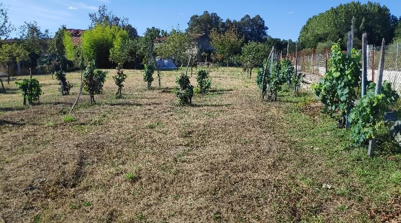 Orense - Maside - 1263m2