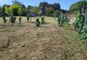 Land suitable for development for sale on Santián, Maside, ref: TR407749 photo