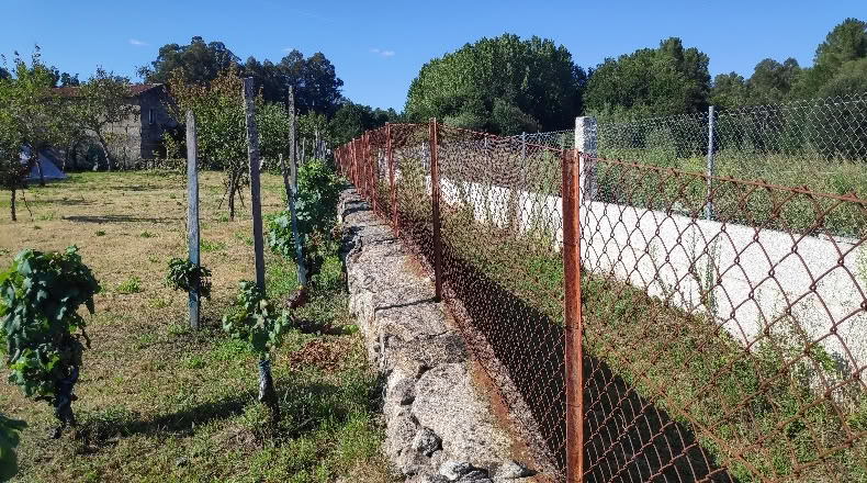 Orense - Maside - 1263m2