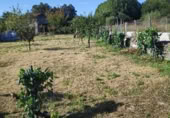 Land suitable for development for sale on Santián, Maside, ref: TR407749 photo
