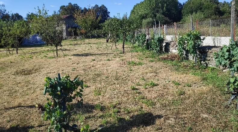 Orense - Maside - 1263m2