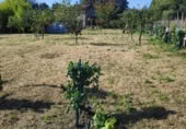 Land suitable for development for sale on Santián, Maside, ref: TR407749 photo