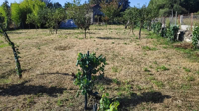 Orense - Maside - 1263m2