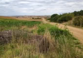 Terreno no urbanizable en venta en la Polígono 1 Parcela 196 CARRASQUERAS. SANTA CLARA DE AVEDILLO [ZAMORA], Santa Clara de Avedillo, ref: TR407750 foto