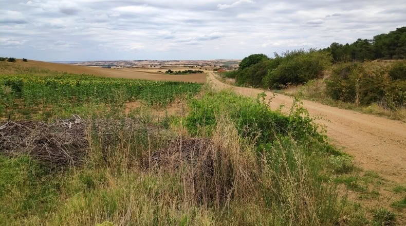 Zamora - Santa Clara de Avedillo - 26020m2