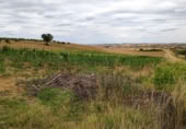Terreno no urbanizable en venta en la Polígono 1 Parcela 196 CARRASQUERAS. SANTA CLARA DE AVEDILLO [ZAMORA], Santa Clara de Avedillo, ref: TR407750 foto