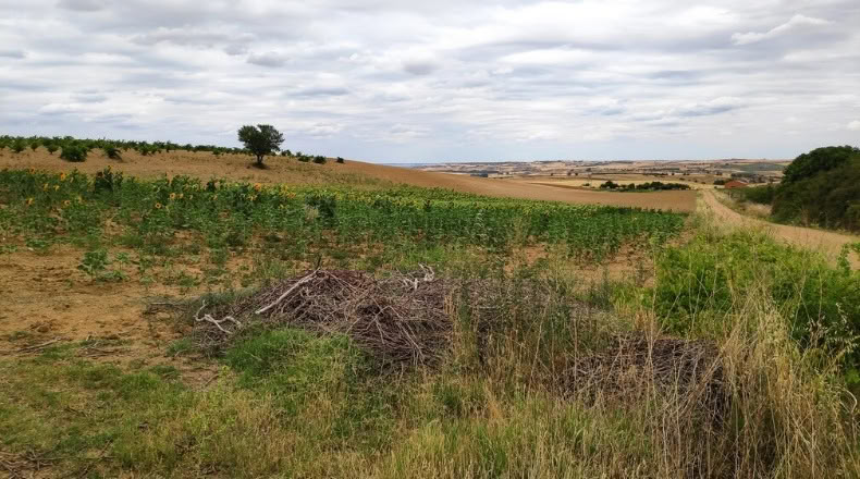 Zamora - Santa Clara de Avedillo - 26020m2