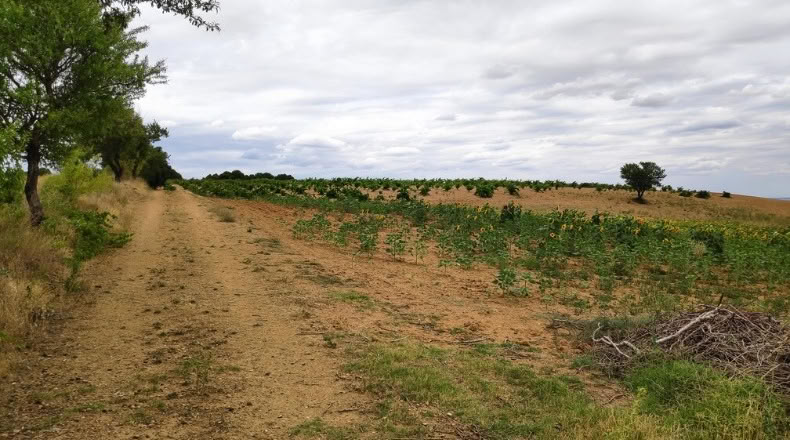 Zamora - Santa Clara de Avedillo - 26020m2