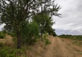 Terreno no urbanizable en venta en la Polígono 1 Parcela 196 CARRASQUERAS. SANTA CLARA DE AVEDILLO [ZAMORA], Santa Clara de Avedillo, ref: TR407750 foto