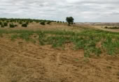 Terreno no urbanizable en venta en la Polígono 1 Parcela 196 CARRASQUERAS. SANTA CLARA DE AVEDILLO [ZAMORA], Santa Clara de Avedillo, ref: TR407750 foto