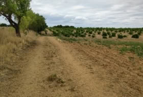Foto 19