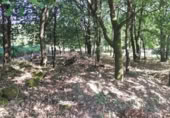 Land suitable for development for sale on OU-504, Maside, ref: TR407751 photo