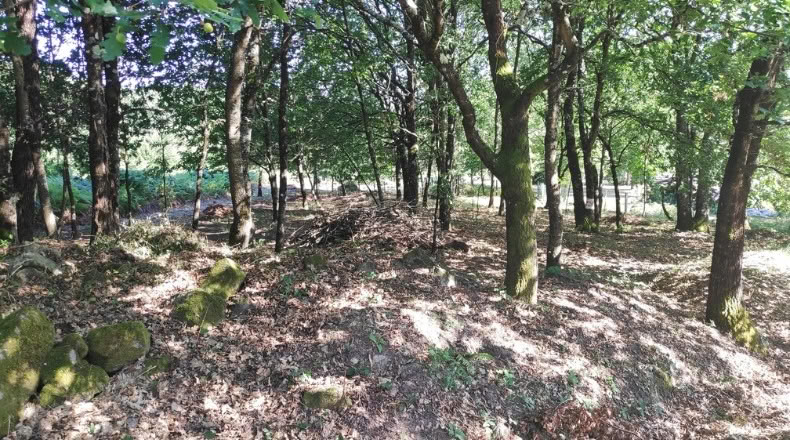 Orense - Maside - 1800m2