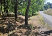Land suitable for development for sale on OU-504, Maside, ref: TR407751 photo