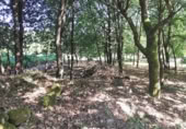 Land suitable for development for sale on OU-504, Maside, ref: TR407751 photo