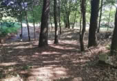 Land suitable for development for sale on OU-504, Maside, ref: TR407751 photo