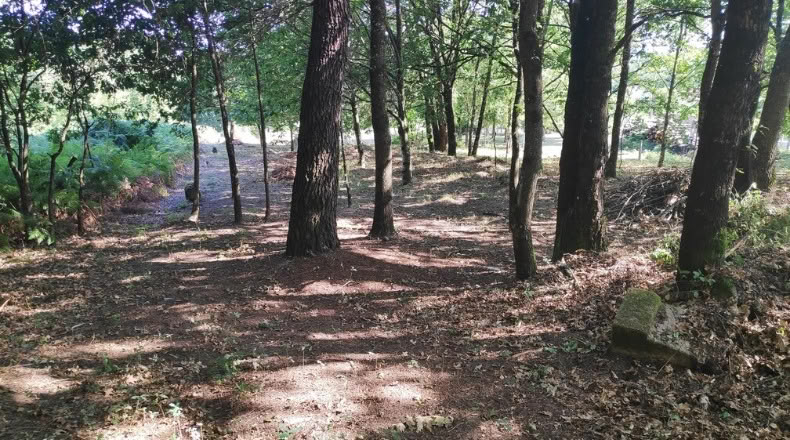 Orense - Maside - 1800m2
