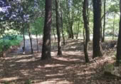 Land suitable for development for sale on OU-504, Maside, ref: TR407751 photo