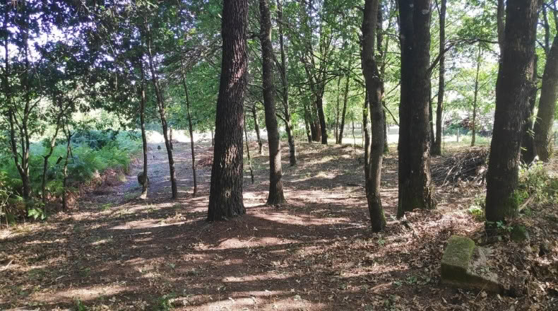 Orense - Maside - 1800m2