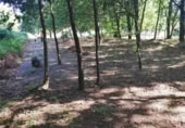 Land suitable for development for sale on OU-504, Maside, ref: TR407751 photo