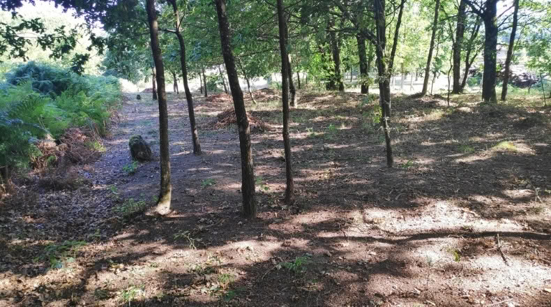 Orense - Maside - 1800m2