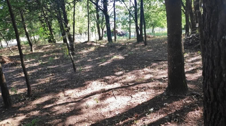 Orense - Maside - 1800m2
