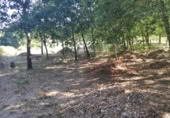 Land suitable for development for sale on OU-504, Maside, ref: TR407751 photo