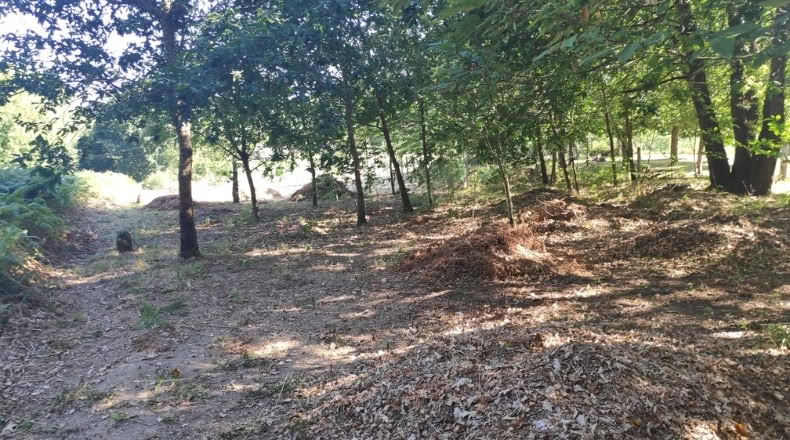 Orense - Maside - 1800m2