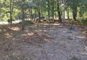 Land suitable for development for sale on OU-504, Maside, ref: TR407751 photo