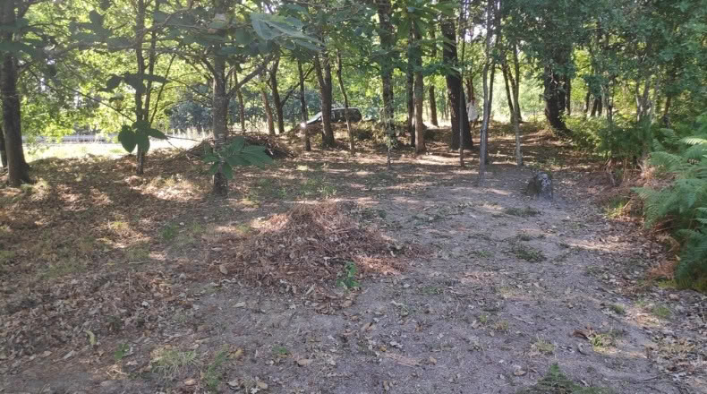 Orense - Maside - 1800m2