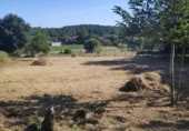 Land suitable for development for sale on OU-504, Maside, ref: TR407751 photo