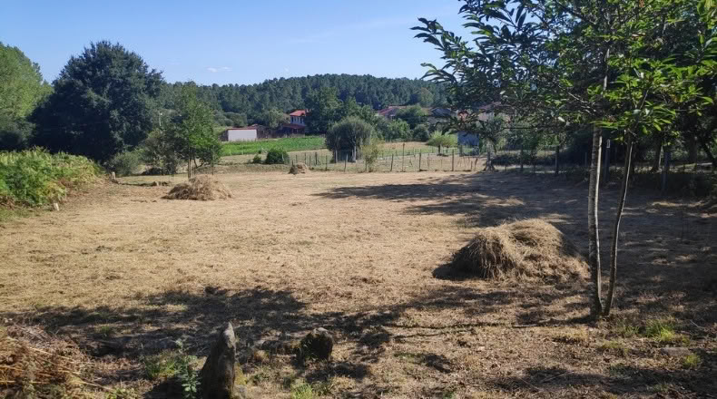 Orense - Maside - 1800m2