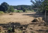 Land suitable for development for sale on OU-504, Maside, ref: TR407751 photo