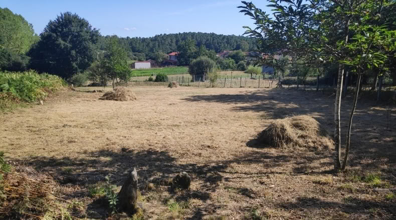 Orense - Maside - 1800m2