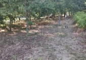 Land suitable for development for sale on OU-504, Maside, ref: TR407751 photo