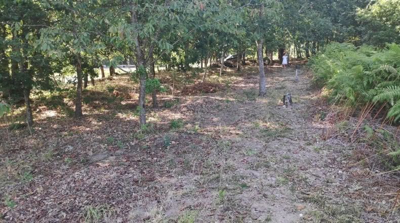 Orense - Maside - 1800m2