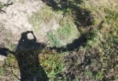 Land suitable for development for sale on OU-504, Maside, ref: TR407751 photo