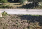 Land suitable for development for sale on OU-504, Maside, ref: TR407751 photo