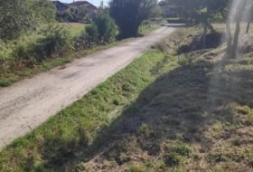 Foto 19
