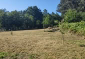 Land suitable for development for sale on OU-504, Maside, ref: TR407751 photo
