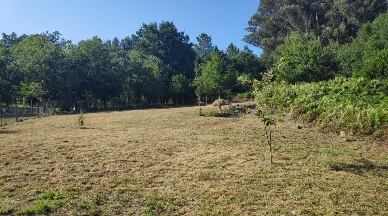 Orense - Maside - 1800m2