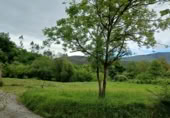 Terreno con Almacén en venta en la Barrio La Herrería, La Herrería, ref: TR407756 foto