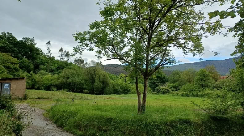 Asturias - La Herrería - 2000m2