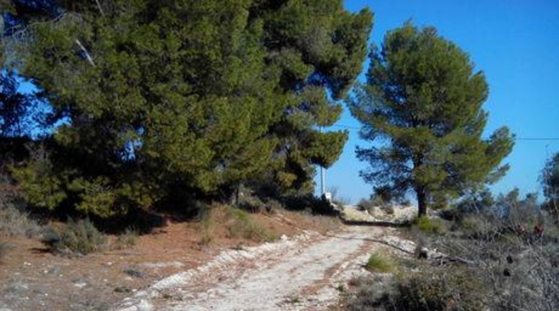 Murcia - Calasparra - 1148m2