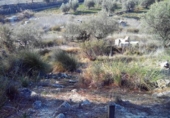 Terreny no urbanitzable en venda a la España, Calasparra, ref.: TR303589 foto